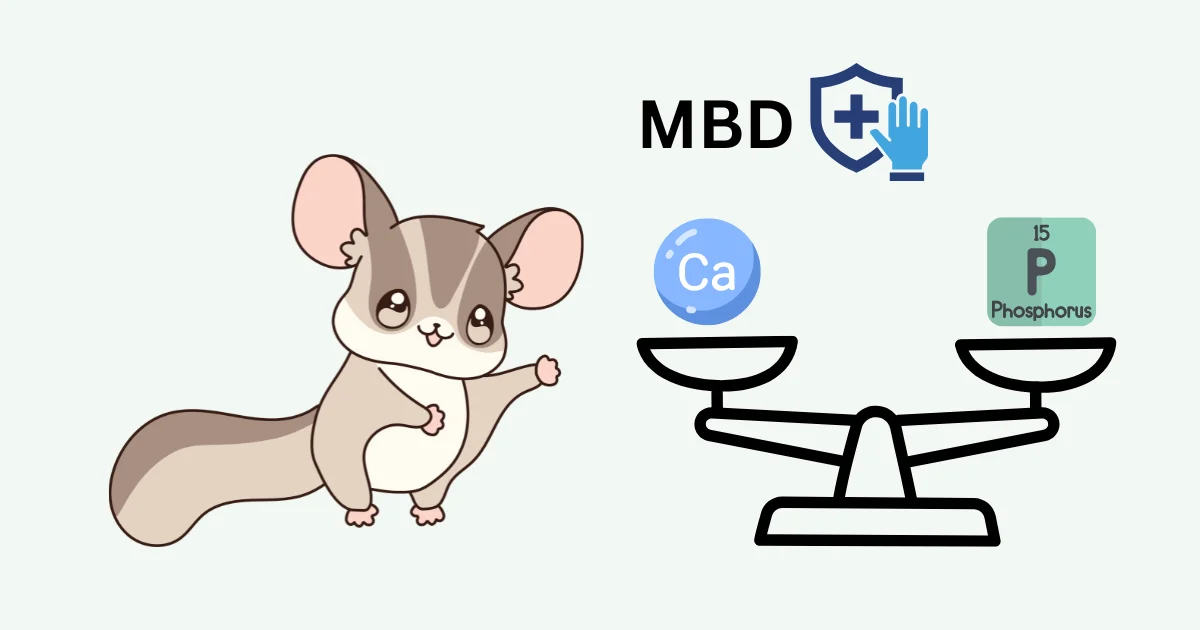An illustrated sugar glider beside an unbalanced scale weighing calcium against phosphorus, with an MBD-prevention shield